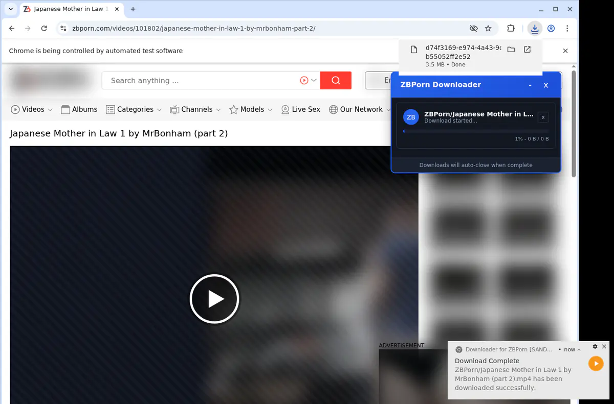 Zbporn Video Downloader screenshot 3