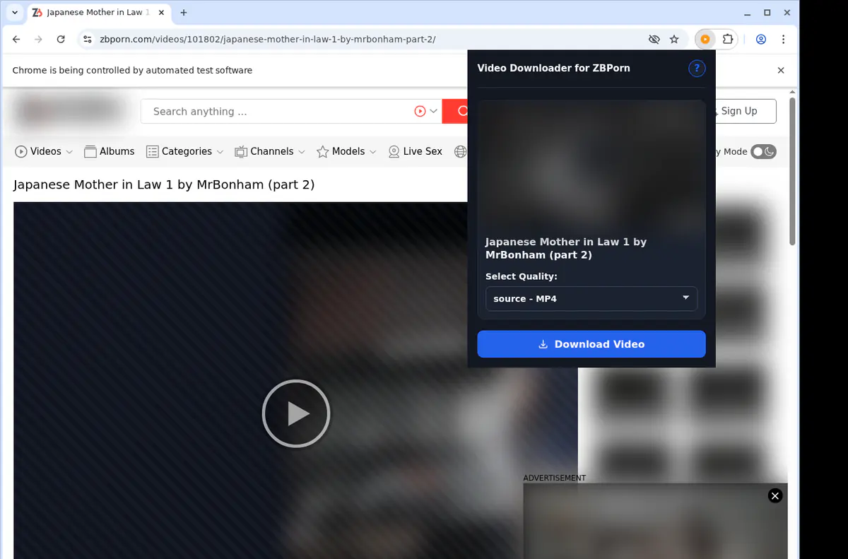 Zbporn Video Downloader screenshot 4